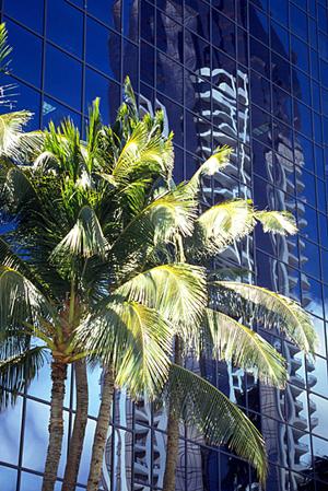 空き家管理は重要性を理解しプロに任せる