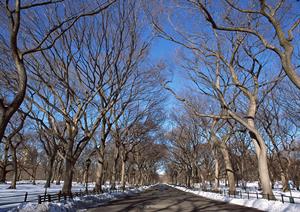 名古屋のアクセス抜群！最新設備完備の貸し会議室「タイムオフィス名古屋」の魅力と利用メリット