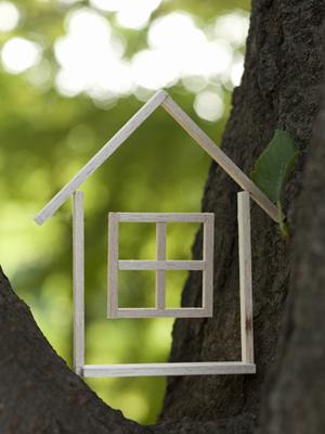 地域密着で賃貸物件を借りるなら